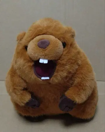 마모트 음성 봉제 인형