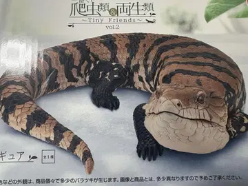 A상 아오지타도마뱀 피규어