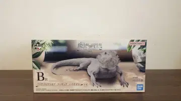 제일복권 파충류&양서류 vol.2 B상 턱수염도마뱀 피규어 하이포 제로