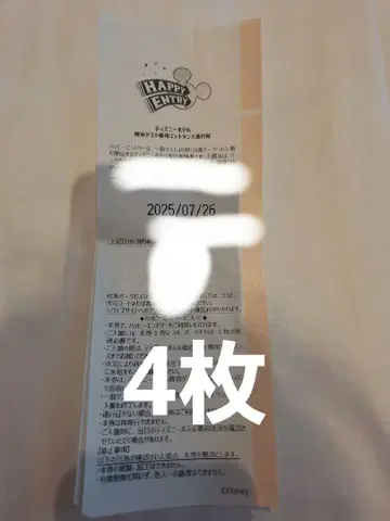 디즈니 해피 엔트리 랜드