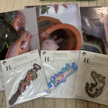 제일복권 파충류 & 양서류 클리어 파일 러버 컬렉션