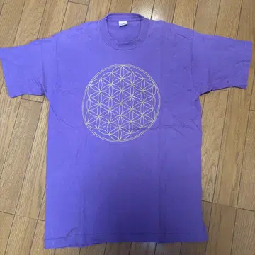 90년대 싱글 스티치 FRUIT OF THE LOOM 보라색 L 티셔츠