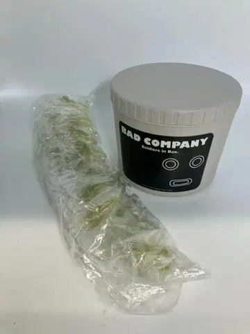 BAD COMPANY 컴퍼니 BOX 제일복권