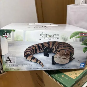 제일복권 파충류&양서류 2 A상 아오지타도마뱀 피규어