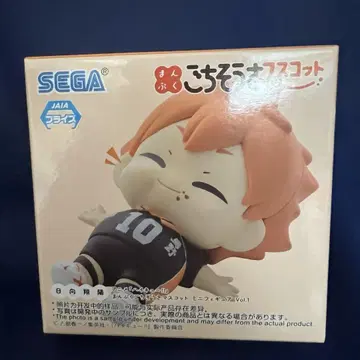 하이큐 잘 먹었습니다 마스코트 히나타 쇼요 피규어 소년 점프