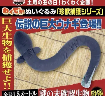 와쿠데카 우나기 봉제 인형