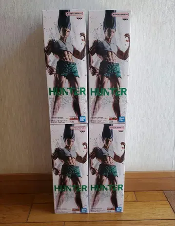HUNTER x HUNTER 헌터헌터 곤 피규어 피그라이프