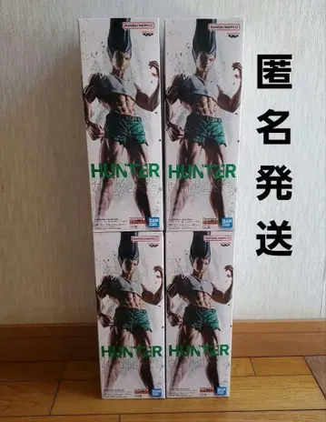 HUNTER x HUNTER 헌터헌터 곤 피규어 피그라이프