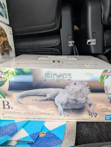 제일복권 파충류&양서류 B상 턱수염도마뱀 피규어