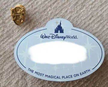 WDW 캐스트 네임택 기념일 핑 세트