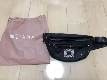 다이애나 바디백 검정 블랙 비쥬