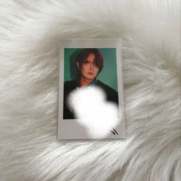 아라키 폴라로이드 사인