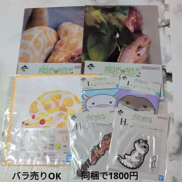 파충류 제일복권 하위상 7종 세트 타월 러버 클리어 파일