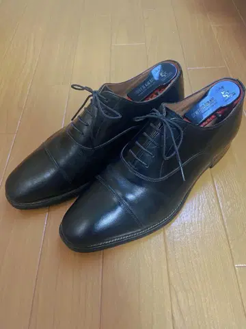 스카치 그레인 가죽 신발 비즈니스 슈즈 25cm SCOTCH GRAIN