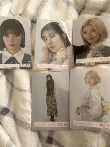 후지요시 카린 사진 카드 세트