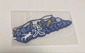 니지산지 코야나기 로우 러버 스트랩