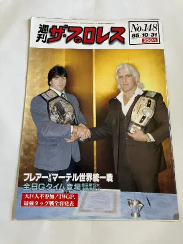 Wrestling 1984 Ric Flair Rick Martel
