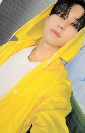 세븐틴 호시 세븐틴스 헤븐 캐럿