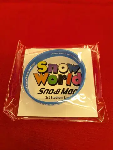 SnowMan 25년 Snow World 와타나베 쇼타 러버 밴드