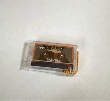 Eve 복권 뮤직 키링 orange