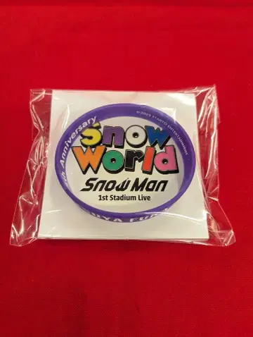 SnowMan 25년 Snow World 후카사와 타츠야 러버 밴드