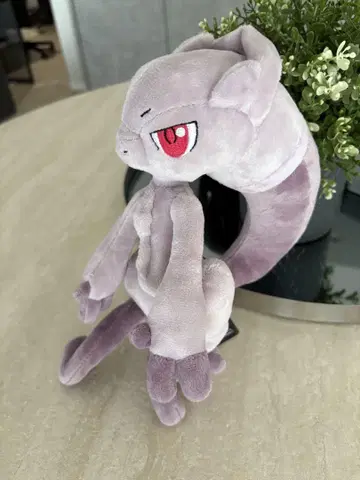 택 포함 메가뮤우투 Y 봉제 인형 포켓몬 센터 한정판