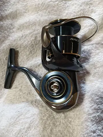 DAIWA SALTIGA 4000-XH 살티가