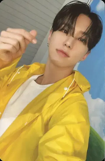 세븐틴 호시 세븐틴스 헤븐 캐럿