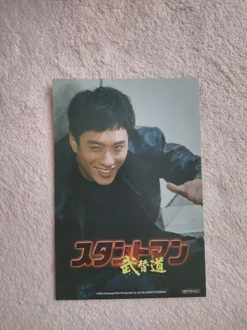 스턴트맨 무가이 미치 리버서블 샘스 업 카드