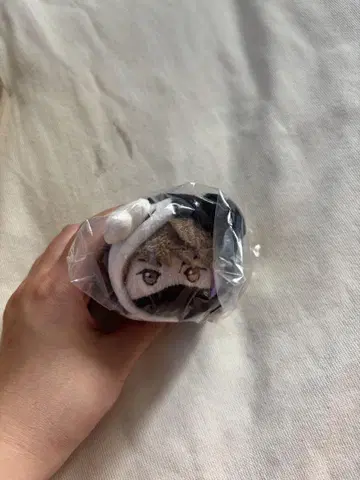레토세트라 레토코로 레어