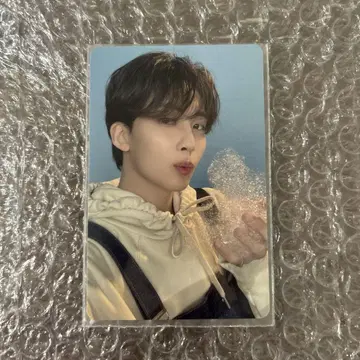 DREAM 정한 카라트판