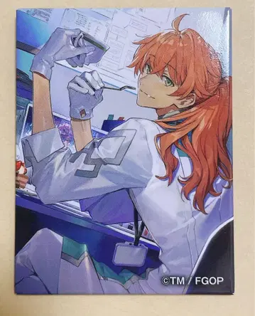 Fate 로마니 아키만 테이크 로망스 스퀘어 배지