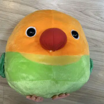 택 포함 새상품 버튼 잉꼬 커다란 봉제 인형 약 35cm 잉꼬 코토리대