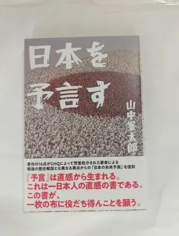 일본을 예언하다