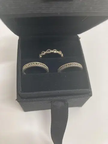 ANNA SUI 3줄 반지 10호