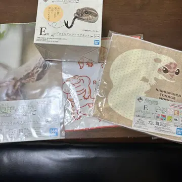 제일복권 파충류 E상