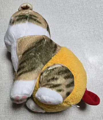 모프샌드 mofsand 새우냥 BIG 봉제인형 ~오빤쮸~ 고양이