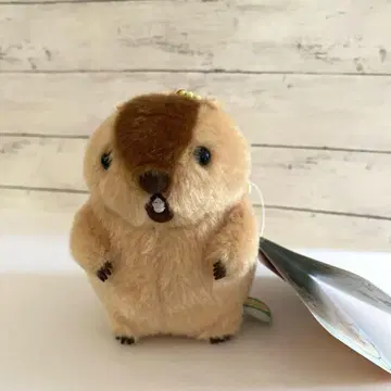 [택 포함 새상품] 마모트의 못토또 LMC 아타로 봉제 인형 마스코트