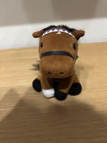 아이돌 호스 봉제 인형 마카히키