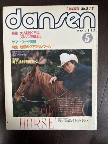남자 전문 히라사와 신 P-MODEL