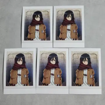 진격의 거인 파샤코레 02 미카사 5장