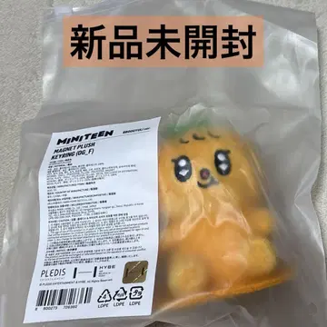 MINITEEN 마그넷 봉제 인형 키링 뀨귝이 승관