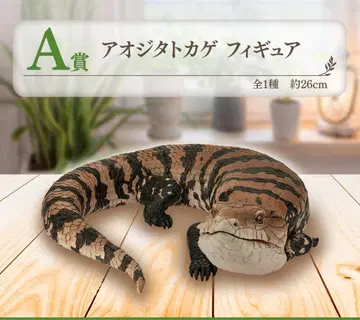 파충류&양서류 vol.2 제일복권 A상 아오지타도마뱀 피규어