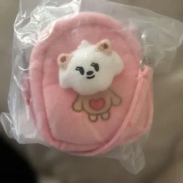 뿔바투 범규 멀티 파우치