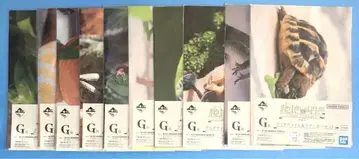 제일복권 파충류 & 양서류 vol.2 G상 클리어 파일 스티커 세트