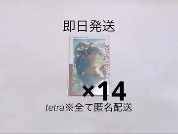 프로세카 14C 카나데 특훈 이후 14장