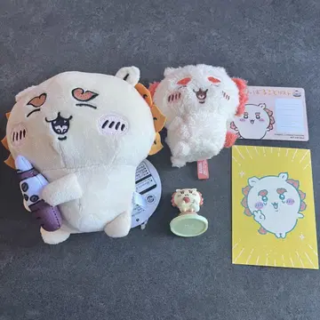치이카와 시사 묶음 판매