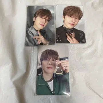 세븐틴 쇼히키겐 카라트반 원우