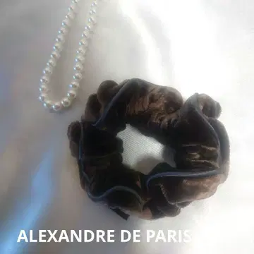 ALEXANDRE DE PARIS 스크런치