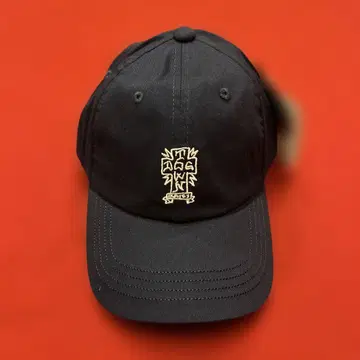 DOG TOWN 도그타운 캡 새상품 스케이트 SUICIDAL